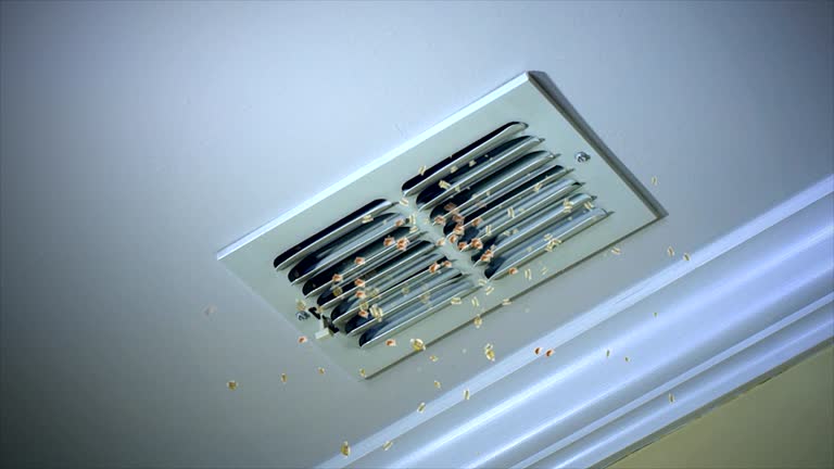 Best Professional Duct Cleaning Services  in Wamac, IN